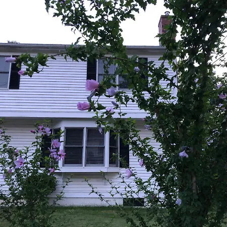 Room In Single Family House - Suburban Neighborhood In Boston